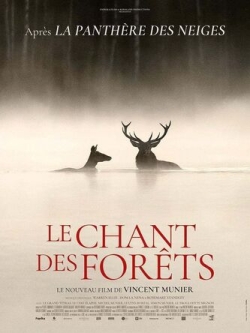 Le chant des forêts